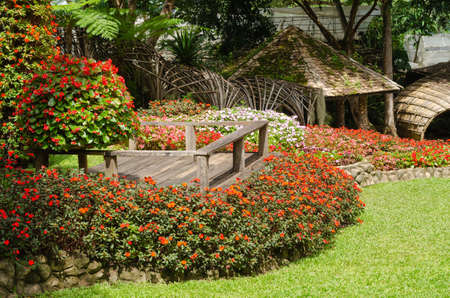 Colorful of blooming flowers garden at Mae Fah Luang Garden in Chiang Rai,Thailandの写真素材