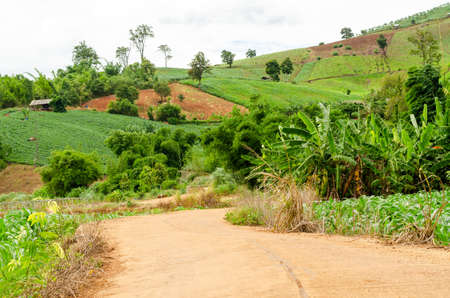 landscape of agriculture on the hill