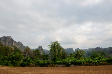 Ban Mung subdistrict in the Noen Maprang District of Phitsanulok Province, Thailand.の写真素材