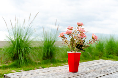 Pink rose flower in red vase on wooden table with nature backgroundの写真素材