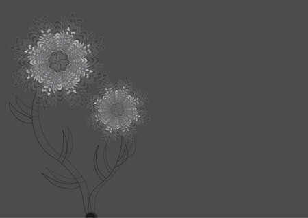 grey background with two beautiful, special flowersのイラスト素材