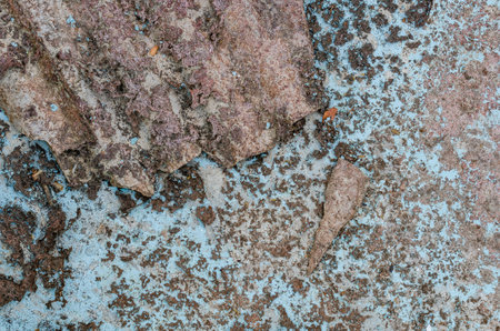 Detailed texture of dry pond and peeling blue paint with cracked roofing tilesの写真素材