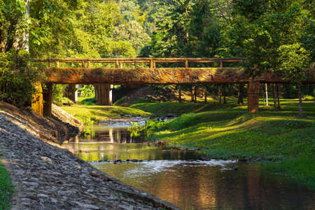 Serene landscape with a wooden bridge spanning a small stream and lush greenery surrounds the area in Chiang rai, Thailandの写真素材