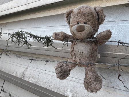 Worn teddy bear caught in barbed wire against a background of grayの写真素材