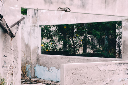 Ruined structure with textured peeling walls in muted colors and greenery from outsideの写真素材