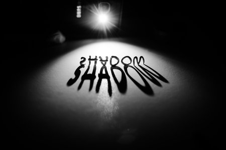 The word SHADOW is cast as a shadow on a textured, light gray surface