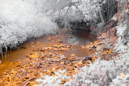 Infrared photography, a waterway surrounded by natural elements. The water is calm, with rocks and...