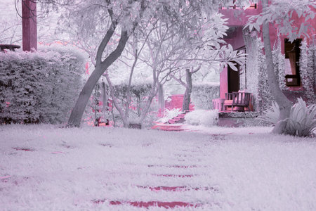 Infrared photography, a garden scene with a pathway leading through to buildingの写真素材