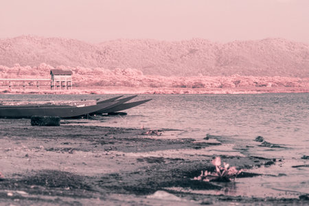 Infrared photography, A serene landscape unfolds, bathed in a soft, pink hue. A sandy beach, gently sloping towards a tranquil lakeの写真素材