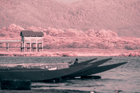 A serene landscape unfolds, bathed in a soft, pink hue. A sandy beach, gently sloping towards a tranquil lakeの写真素材