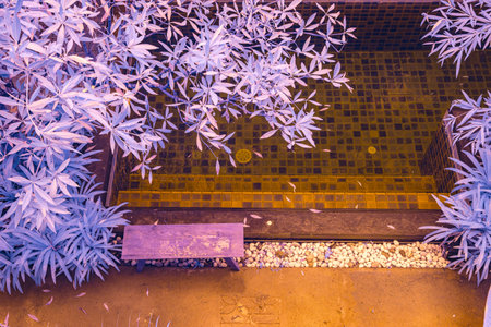 Infrared photography, high angle shot of  a tranquil scene featuring a small pool. Surrounding the pool are pale purple leaves from nearby plantsの写真素材