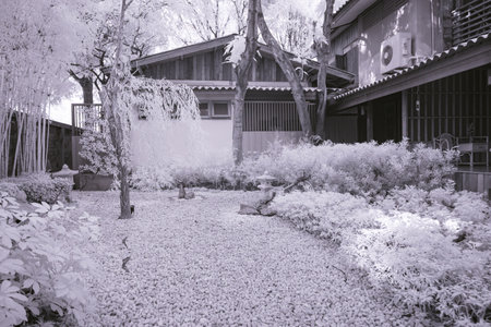 Infrared photography, a carefully manicured garden surrounding a traditional wooden houseの写真素材