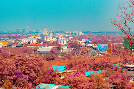 Infrared photography, a landscape with a striking color palette, featuring a prominent bare tree in the foregroundの写真素材