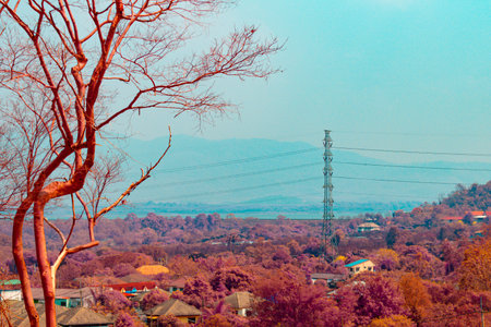 Infrared photography, a landscape with a bare tree in the foreground, set against a backdrop of rolling hills and a distant mountain rangeの写真素材
