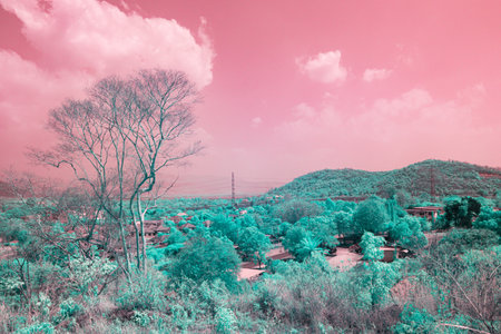 Infrared photography, a landscape featuring a mix of trees, hills, and a small settlementの写真素材