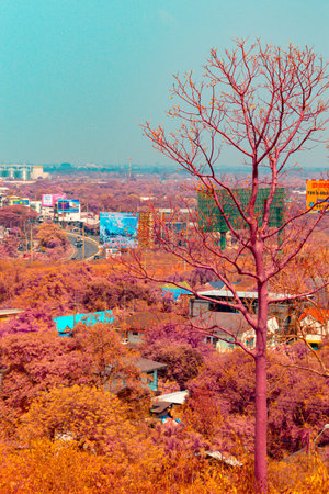 Infrared photography, a landscape with a striking color palette, featuring a prominent bare tree in the foregroundの写真素材