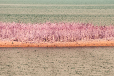 An infrared style, a landscape with a body of water in the foreground and a strip of land in the backgroundの写真素材