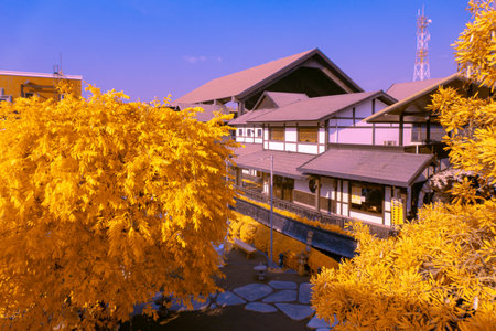 Infrared photography, a building complex with traditional architecture, surrounded by vibrant yellow treesの写真素材