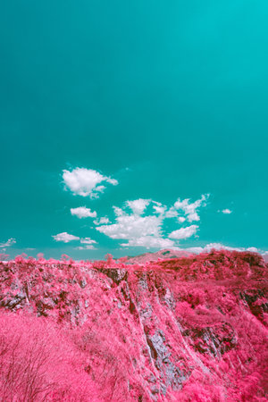 Infrared photography, a landscape characterized by vibrant colors, with the ground and vegetation appearing in shades of pink and redの写真素材