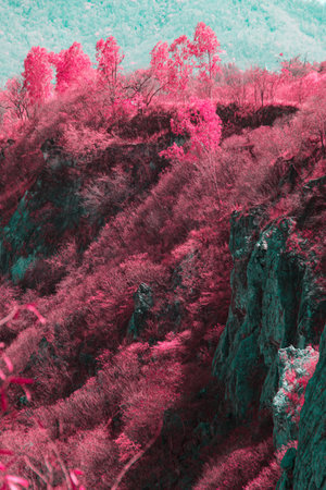 Infrared photography, a landscape with trees and mountains in the backgroundの写真素材
