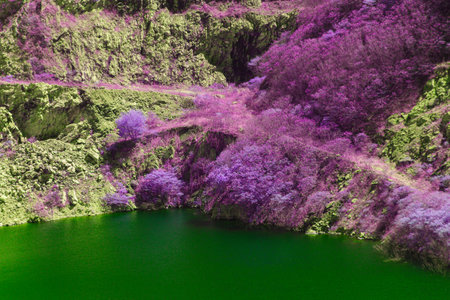 Infrared style, a vibrant green lake nestled within a rocky quarry, surrounded by intensely purple and lime-green vegetationの写真素材