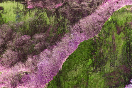 Infrared style, a rocky hillside densely covered in vibrant purple and lime-green vegetationの写真素材