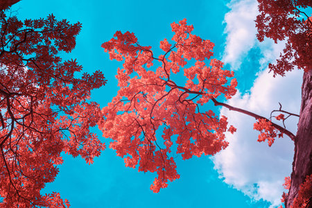 Infrared techniques, a vibrant, pink-hued tree against a bright blue skyの写真素材