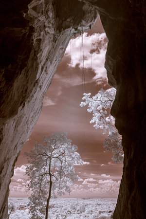 Infrared photography, a view from inside a cave looking out towards a forested landscapeの写真素材