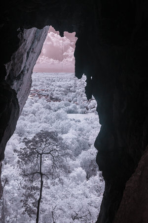 Infrared color, a view from inside a cave looking out toward a landscape filled with treesの写真素材