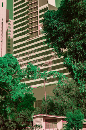 Infrared photography, a small, one-story house with a brown roof is nestled amidst a lush, green forest. In the background, a towering building with a grid of windowsの写真素材