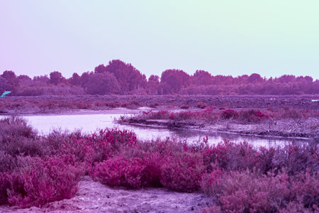Infrared photography, a landscape featuring a winding body of water surrounded by vegetation