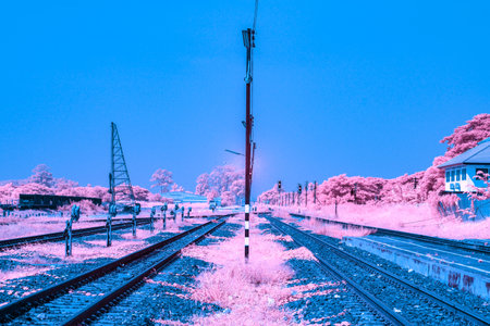 Infrared photography, a set of railroad tracks stretch out into the distance, framed by a vibrant pink landscapeの写真素材