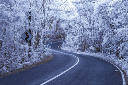 Infrared photography, a winding road with signs surrounded by trees. A curved road sign on left