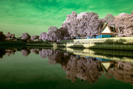 Infrared photography, a serene landscape featuring a body of water reflecting the surroundings with vibrant foliageの写真素材