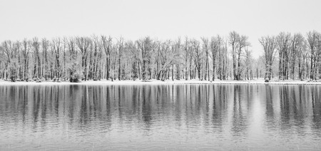 A panorama landscape of cold stark trees in a snow storm reflecting in the Bow River.