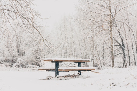 Winter landscape of a picnic table in the woods covered in snow.の写真素材
