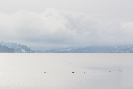 Misty landscape of winter on Wood Lake, Oyama, British Columbia.の写真素材