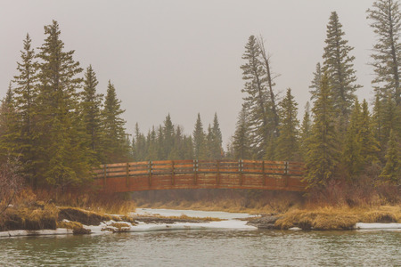Misty autumn landscape of a bridge over the Elbow River, Calgary, Alberta.の写真素材
