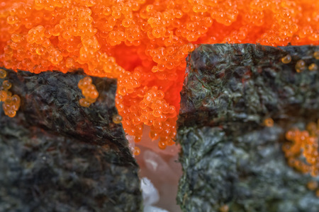 A macro of capelin roe in a piece of masago sushi.の写真素材