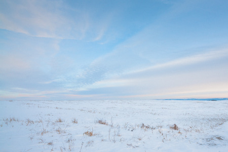 Landscape of the snow covered prairie in Alberta, Canada.の写真素材