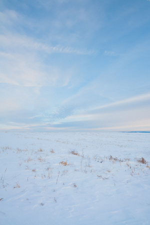 Portrait landscape of the snow covered prairie in Alberta, Canada.の写真素材
