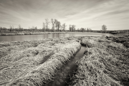 Monochrome long exposure landscape of textured grass and smooth river, Alberta Canadaの写真素材