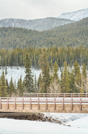Landscape of a bridge over Cat Creek in the Highwood Pass, Alberta, Canada.の写真素材
