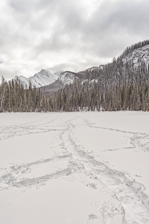 Landscape of tracks on a snow covered lake in the Canadian Rocky Mountains.の写真素材