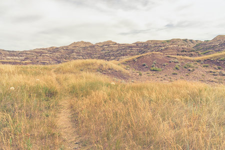 Landscape of the grassy Badlands of Drumheller, Alberta, Canadaの写真素材