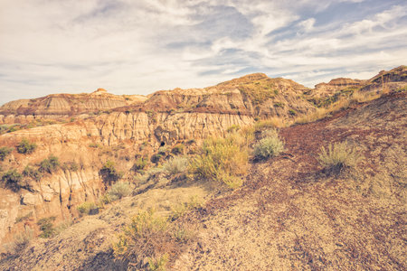 Landscape of the Badlands of Drumheller, Alberta, Canadaの写真素材