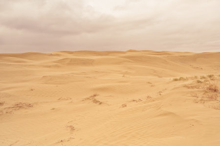 Overcast Sky over Great Sandhills Ecological Reserve, Saskatchewan, Canada