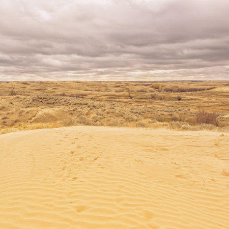 Dramatic Sky over Great Sandhills Ecological Reserve, Saskatchewan, Albertaの写真素材