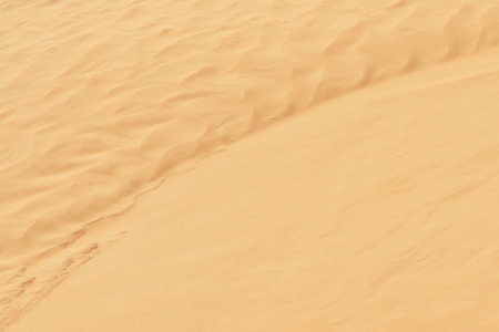 Close-up of textured sandy in Sandhills Ecological Reserve, Saskatchewan, Canadaの写真素材