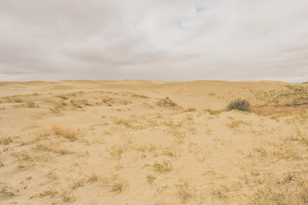 Overcast Sky over Great Sandhills Ecological Reserve, Saskatchewan, Canadaの写真素材
